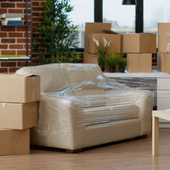 Domestic Shifting