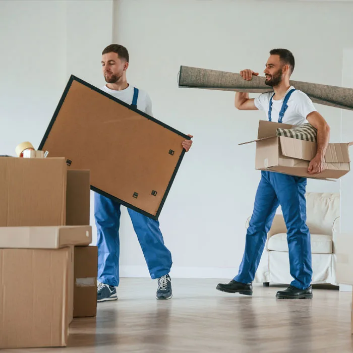 Household Shifting